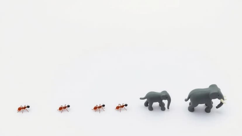 Fem myror är fler än fyra elefanter